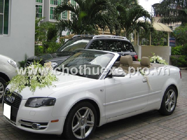 Cho thuê xe cưới màu trắng Audi A4